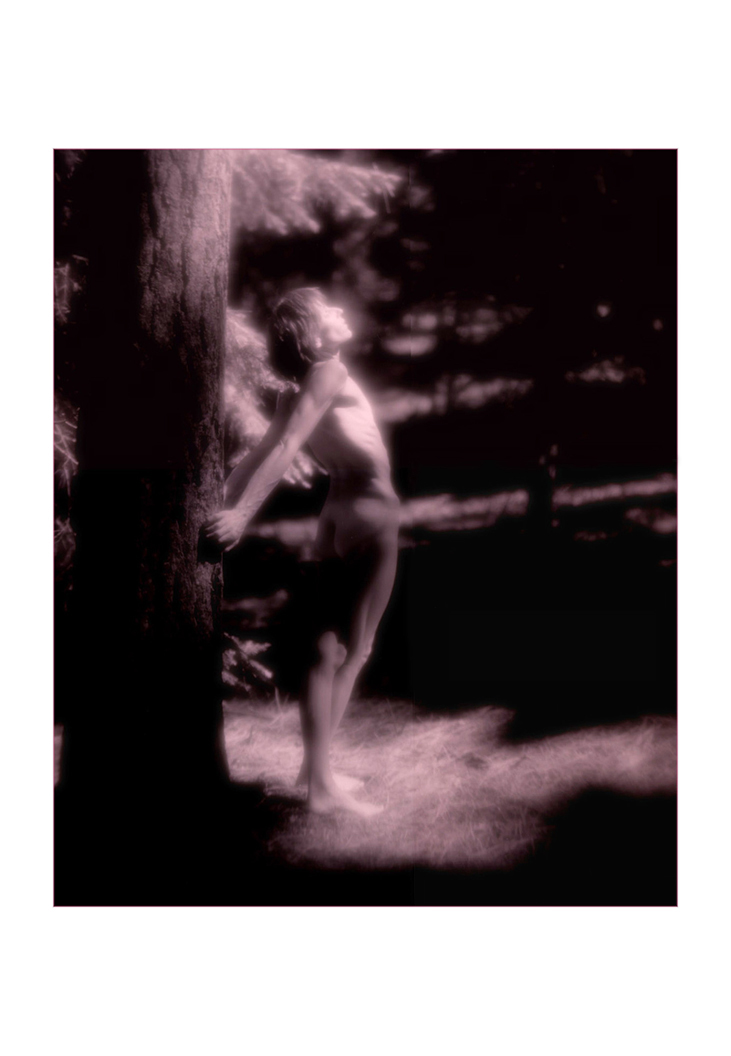 The Awakening, Afternood Nude, The Enchanted Forest,  High Cascade Studios.